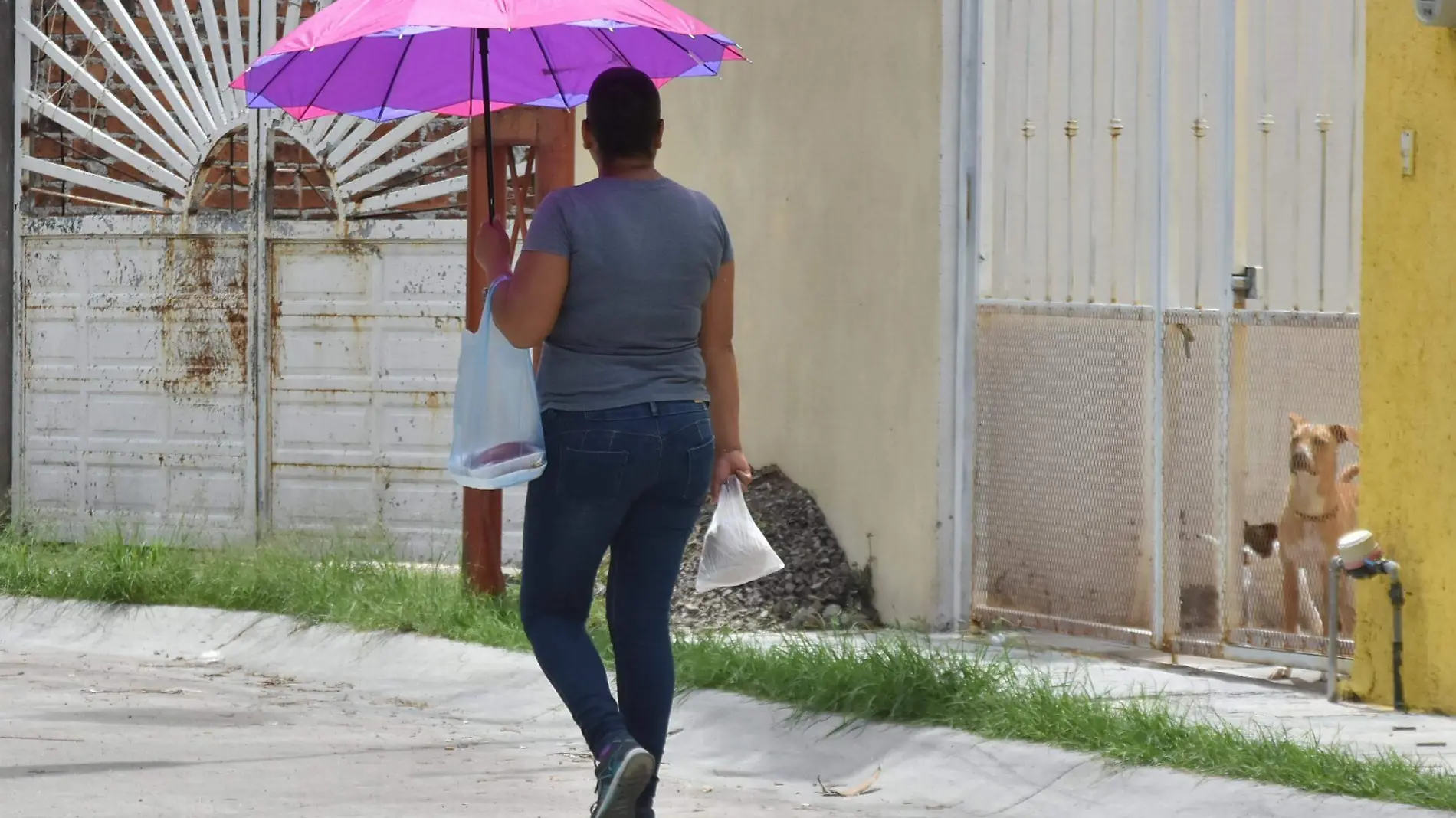 MUJERES ENFERMEDAD - RICARDO SANCHEZ- EL SOL DE IRAPUATO